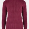 Dubarry Womens Hacketstown Sweater